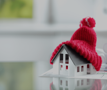 Vermo beeld huis met muts dark overlay